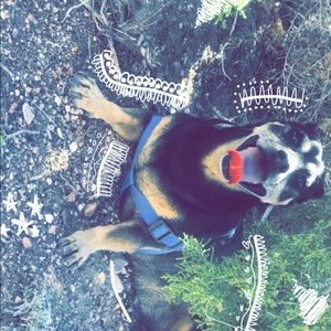 Meet your Posher, Zeriah